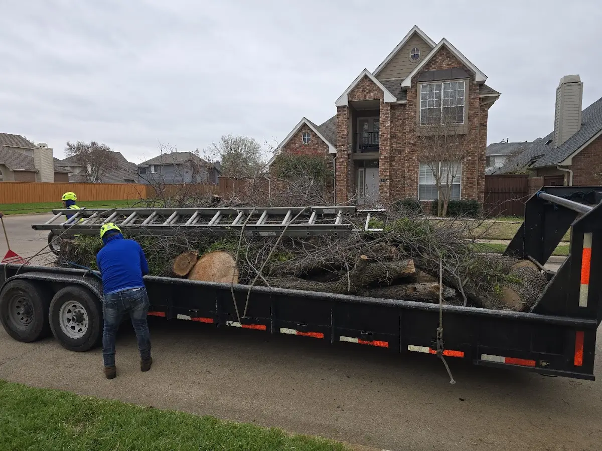 Expert Lot Clearing with proper safety equipment in Viola